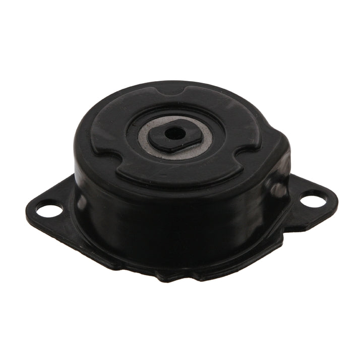 M57n / M57n2 Belt Tensioner SKF VKM 38304