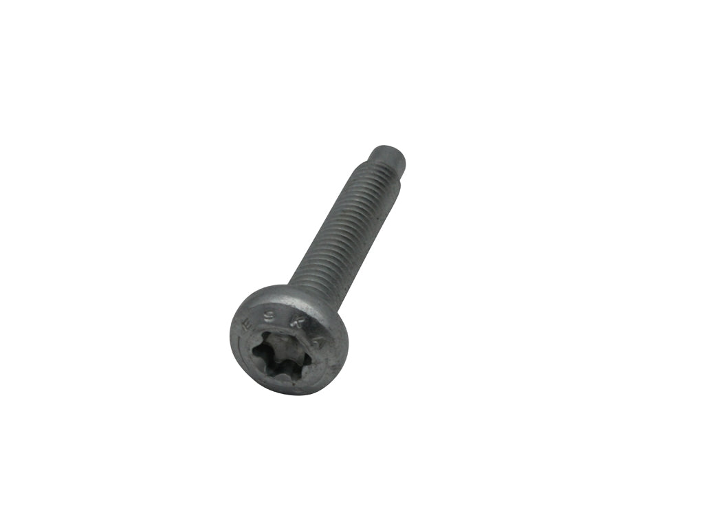 Genuine BMW Camshaft Cam Cap Bolt for M57