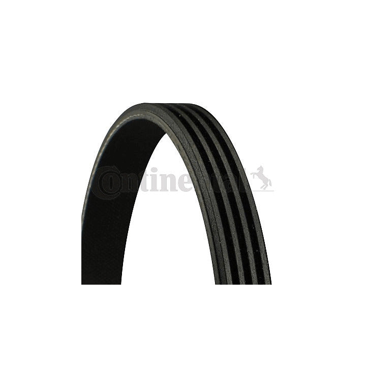 BMW 3.0D M57N2 Power Steering Belt Continental 4PK811 ELAST