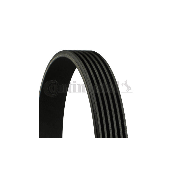 BMW 3.0D M57N2 Serpentine Belt Continental 6PK1893