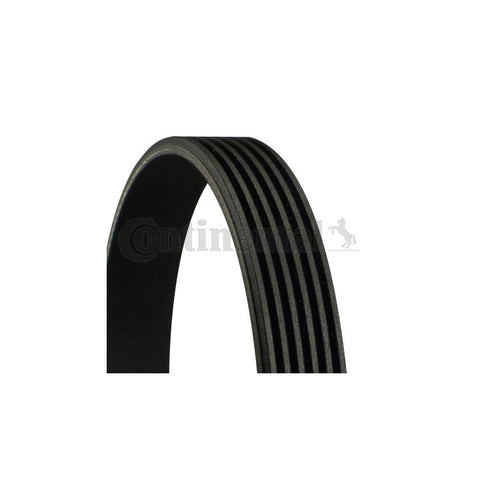 BMW 3.0D M57N2 Serpentine Belt Continental 6PK1893