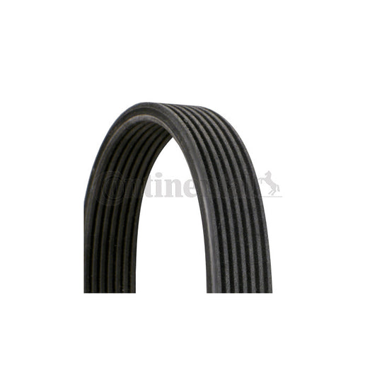 BMW 3.0D N57 V-Ribbed Belt Continental 7DPK1884 11288477789