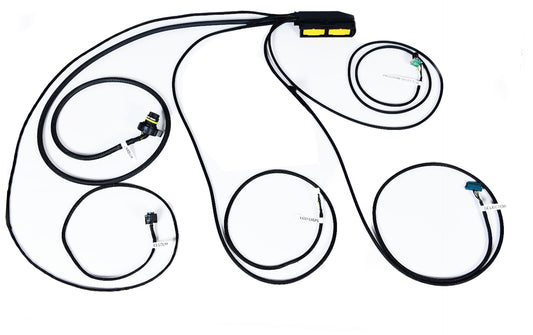 TurboLamik 8HP TCU basic CAN bus wiring harness (guide image)