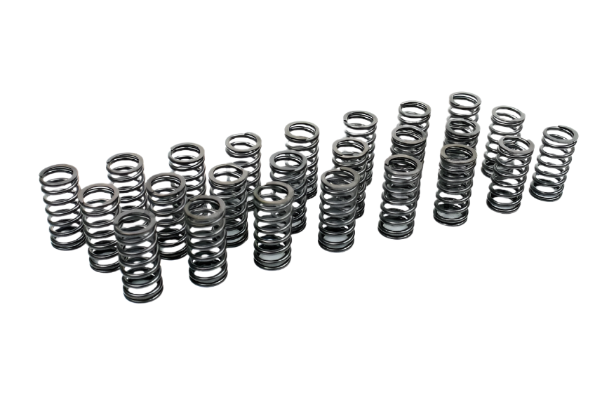 Performance Valve Spring Kit for BMW M57 Diesel Engines – ASLmods