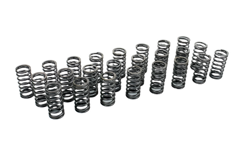 Performance Valve Spring Kit for BMW M57 Diesel Engines